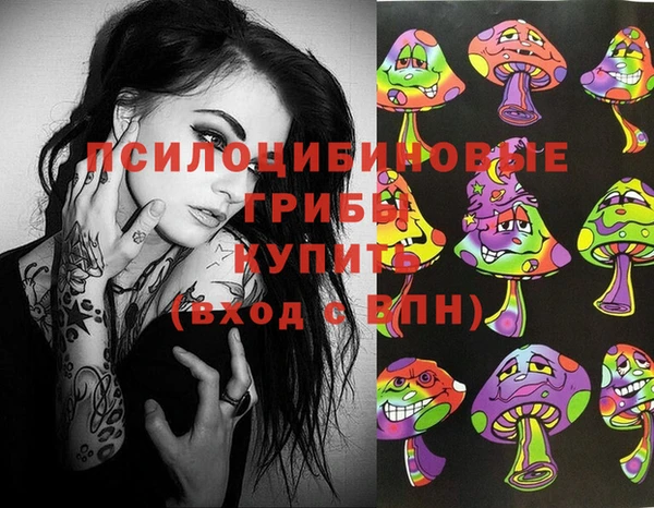 ГАЛЛЮЦИНОГЕННЫЕ ГРИБЫ Абаза