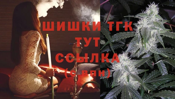 ГАЛЛЮЦИНОГЕННЫЕ ГРИБЫ Абаза
