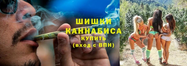 ГАЛЛЮЦИНОГЕННЫЕ ГРИБЫ Абаза
