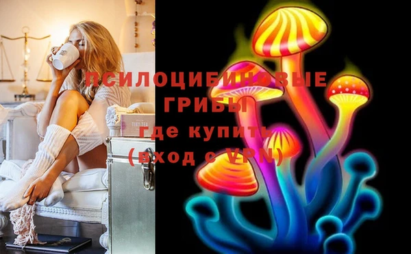 ГАЛЛЮЦИНОГЕННЫЕ ГРИБЫ Абаза