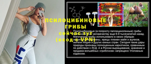 крисы Елабуга